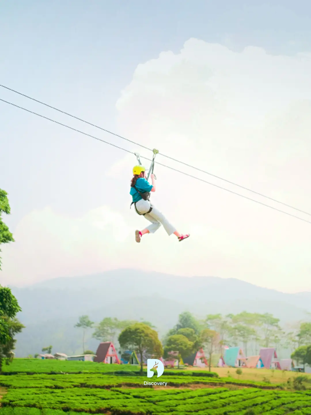 Flyingfox