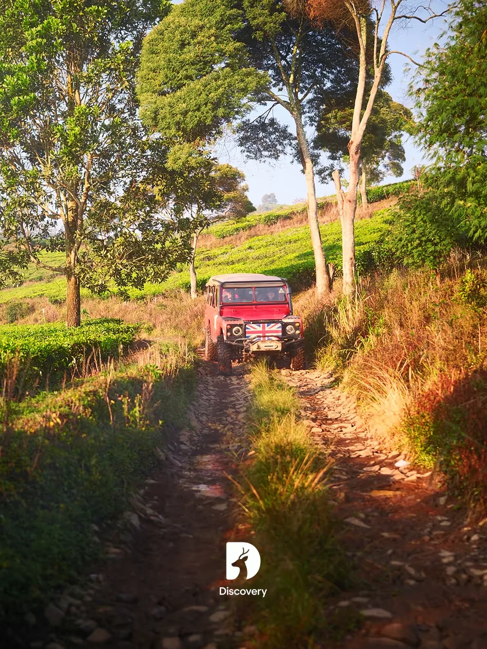 Landrover Offroad, foto 3