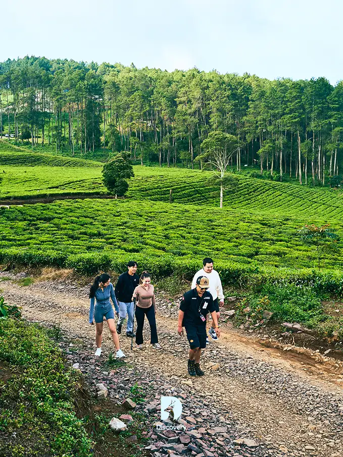 Trekking Adventure