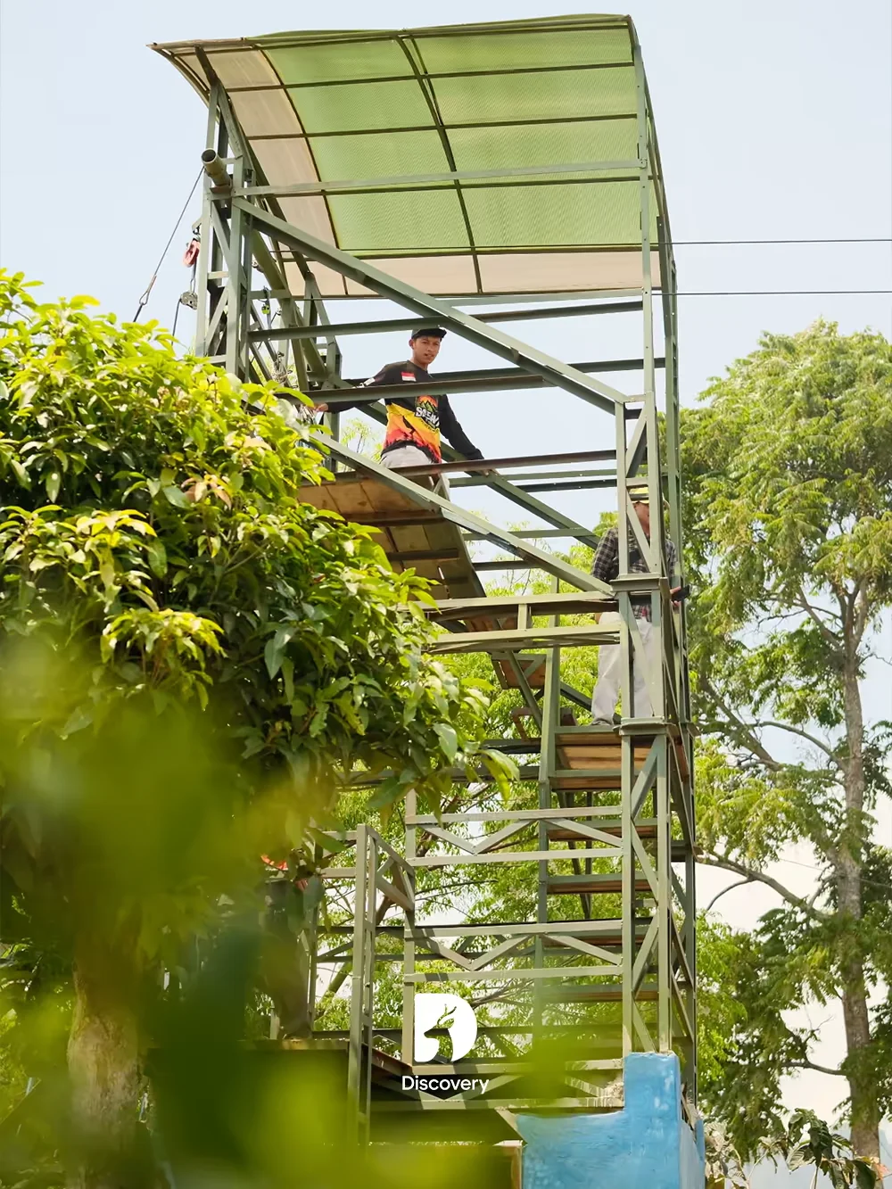 Flyingfox, foto 3