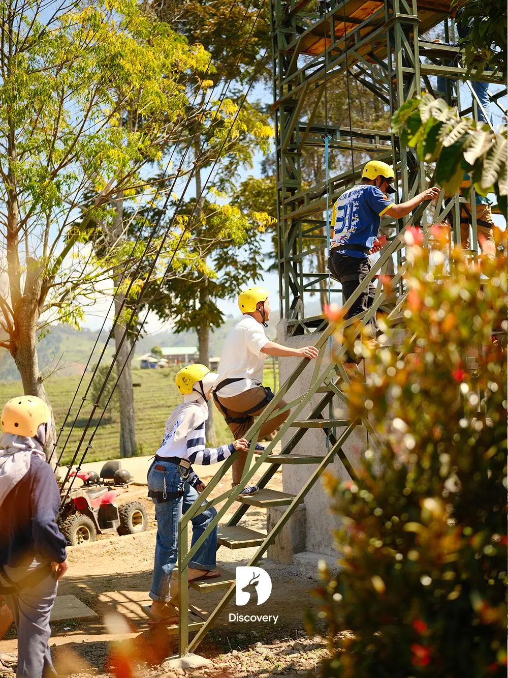 Flyingfox, foto 2
